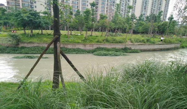 沱江河穿越项目行洪论证与河势稳定评价报告